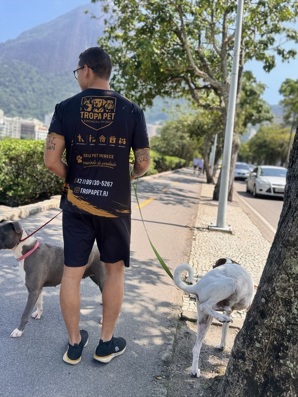 Jordan de costas com a camisa da Tropa Pet, passeando com dois cães