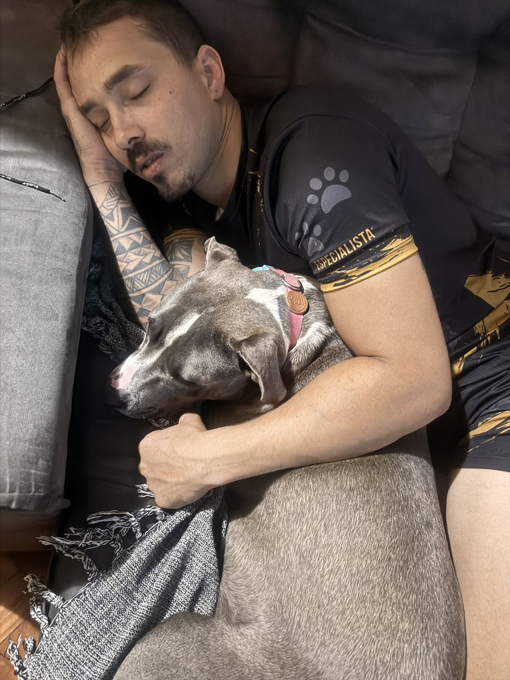 Jordan cochilando no sofá abraçado com a cachorra hospedada